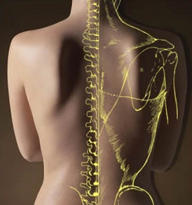 Chiropractic